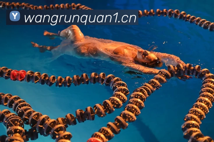 8868体育官方网站(官方)登录入口全站App